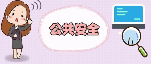 妨害安全驾驶罪的刑法适用问题研究论文