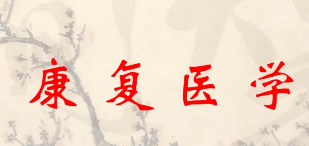 高校康复医学人文教育探讨论文