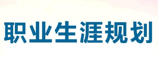 组织对个体职业生涯精细化管理的策略—以某地级市公立三甲医院为例论文