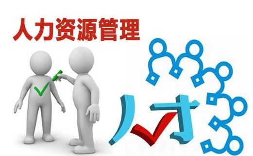 组织对个体职业生涯精细化管理的策略—以某地级市公立三甲医院为例论文