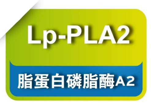 脂蛋白相关磷脂酶A2与动脉粥样硬化相关疾病的关系及研究进展论文