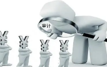 探析财政审计在政府预算中的作用论文