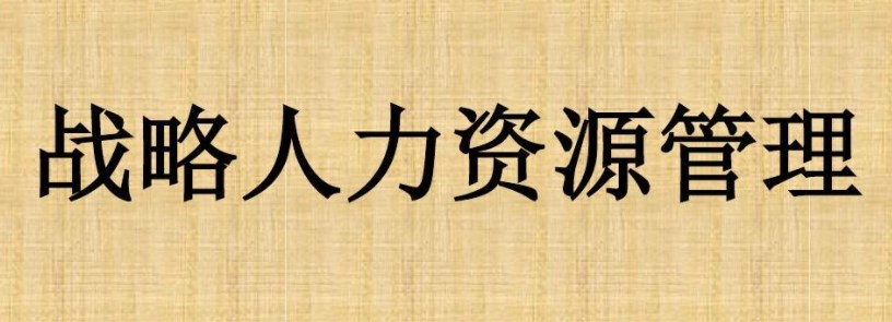 提高企业绩效的战略人力资源管理对策研究论文