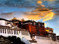 西藏公立医院全面预算管理问题探析论文