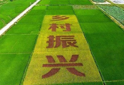 新时代农村妇女参与乡村振兴发展研究论文