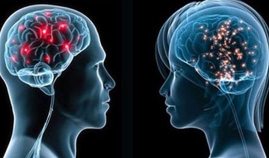 任务驱动教学法联合研究性教学法在认知心理学课程中的应用论文