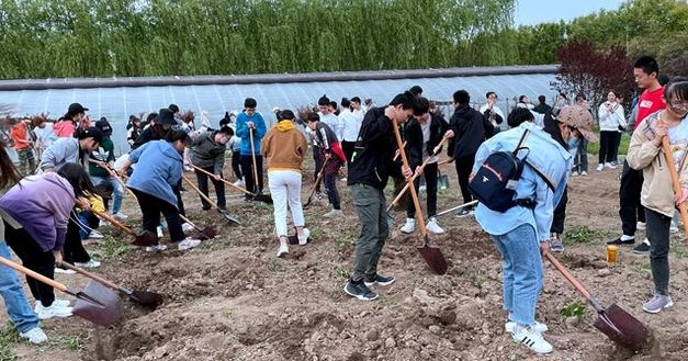 数字化时代高校劳动教育的机遇、挑战及提升策略论文