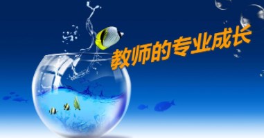 促进教师专业成长的有效策略论文