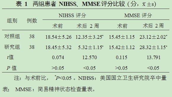 替罗非班联合机械取栓治疗急性前循环大动脉闭塞性脑梗死患者的效果论文