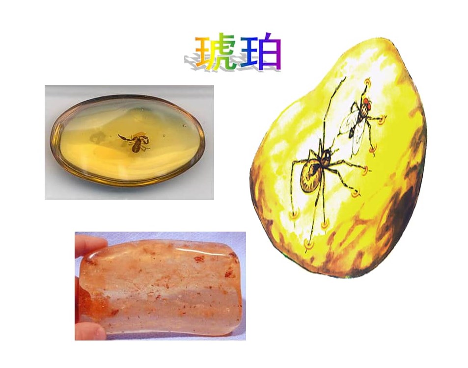 二年级语文下册中的《小马过河》