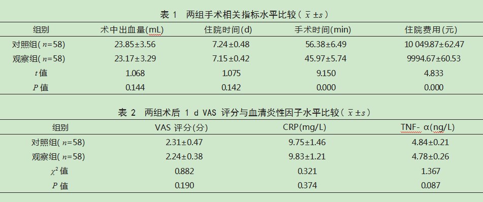 腹腔镜全腹膜外疝修补术与经腹腹膜前疝修补术治疗腹股沟疝患者的效果比较论文