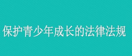 社会工作发展背景下青少年社区矫正工作存在的问题及破解策略论文