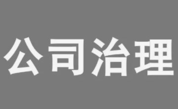 国有保险机构强化公司治理的有效路径探讨论文