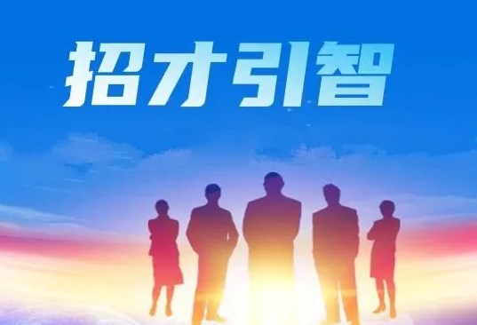 打造地区招才引智新引擎的方法探索论文