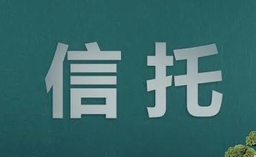 宠物信托的法律问题及修改建议论文