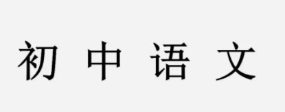 丰富初中语文阅读教学研究论文