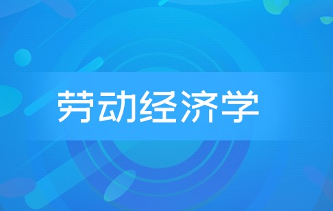 劳动经济学视角下人力资源管理问题及对策探究论文