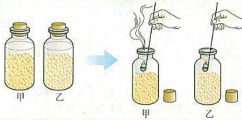 初中生物实验教学中培养学生核心素养的策略研究论文