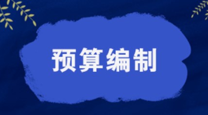 企业预算编制与执行中存在的问题分析及解决对策论文