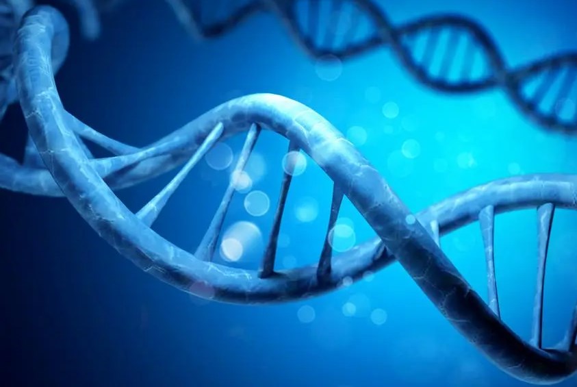 初中生物学跨学科实践活动设计与探索论文