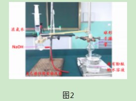 “氨的转化与生成”教学设计论文