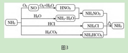 “氨的转化与生成”教学设计论文