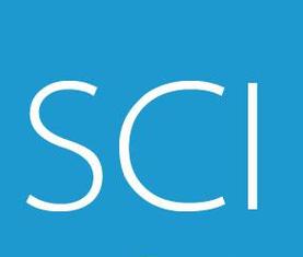 sci英语论文润色技巧