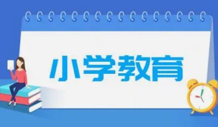 新文科背景下小学教育专业实习探究论文