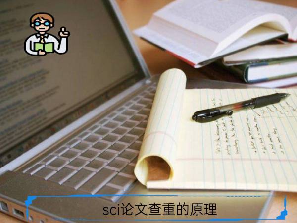 SCI论文查重针对正文吗？