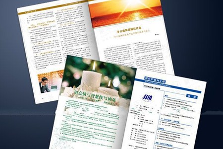 在哪个期刊上发表论文有影响力？