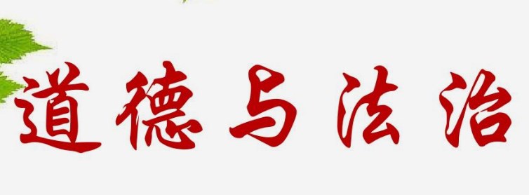 资源整合，微中有效：浅析微课在初中道德与法治课程教学中的运用论文