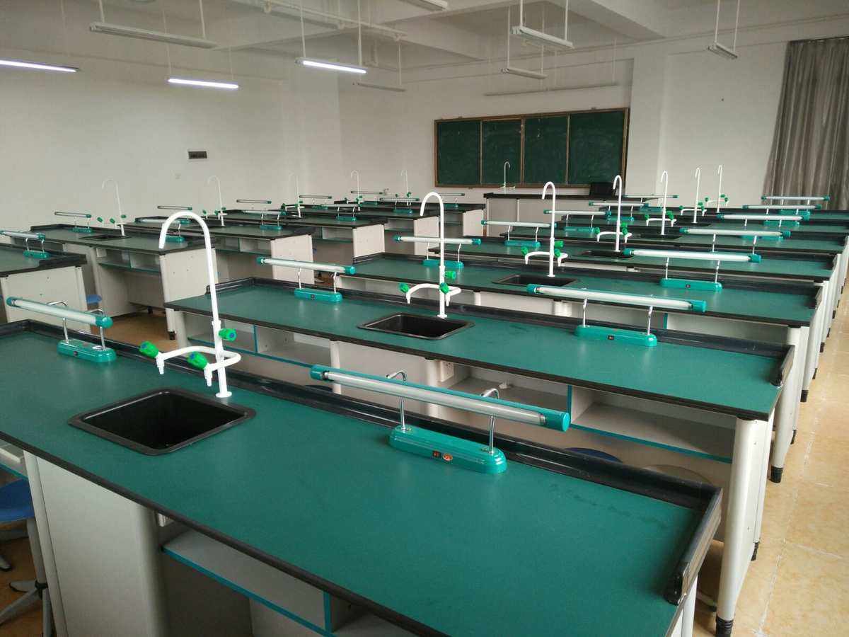 大概念教学在高中生物学科教学中的实践探讨论文