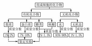 大概念教学在高中生物学科教学中的实践探讨论文