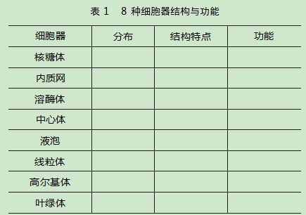 大概念教学在高中生物学科教学中的实践探讨论文