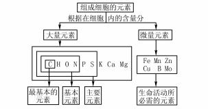 大概念教学在高中生物学科教学中的实践探讨论文