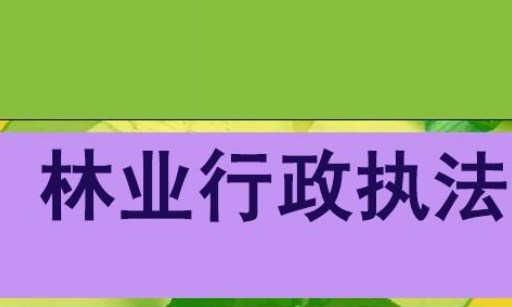 新形势下做好林业行政执法工作的策略探析论文