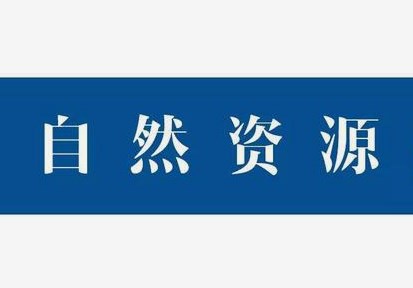 自然资源在幼儿园美术自主课程中的运用论文