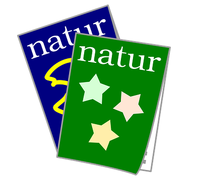 省级论文发表的最短时间