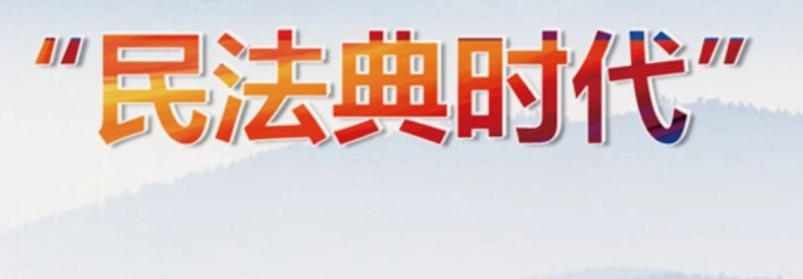 《民法典》视阈下民事诉讼制度发展的基本问题探析论文