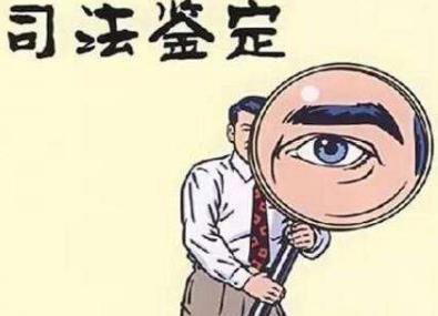 足弓结构破坏在法医鉴定中的方式及标准论文