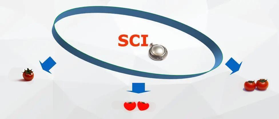 SCI论文写作培训的组织与实施