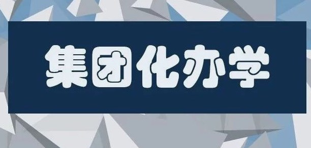 “集”而“团”之：集团化办学的“秘诀”论文