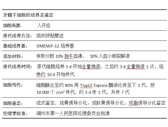 增龄因素对牙源干细胞生物学特性的影响论文