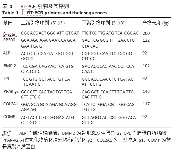 增龄因素对牙源干细胞生物学特性的影响论文