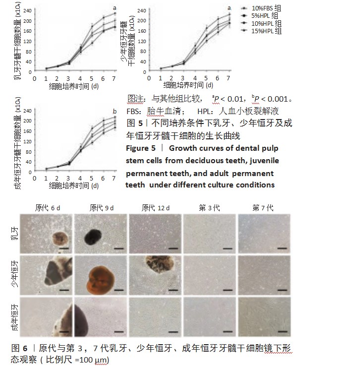 增龄因素对牙源干细胞生物学特性的影响论文