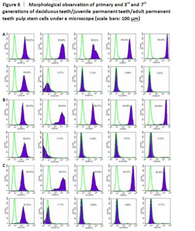 增龄因素对牙源干细胞生物学特性的影响论文