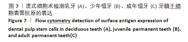 增龄因素对牙源干细胞生物学特性的影响论文