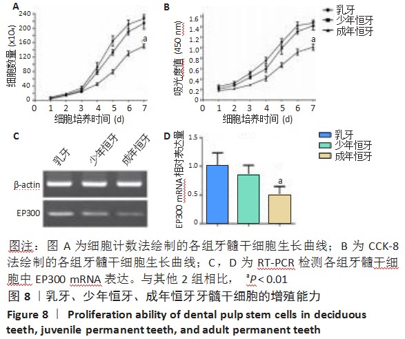增龄因素对牙源干细胞生物学特性的影响论文