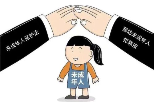 未成年人犯罪问题调查与研究论文