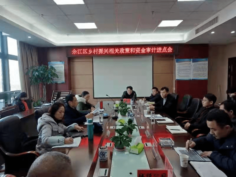 乡村振兴相关政策措施及资金使用管理情况审计论文